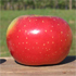 red apple